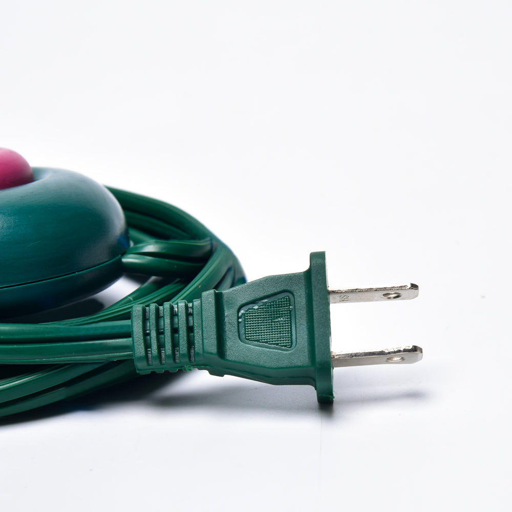 Indoor Extension Cord with Switch plug