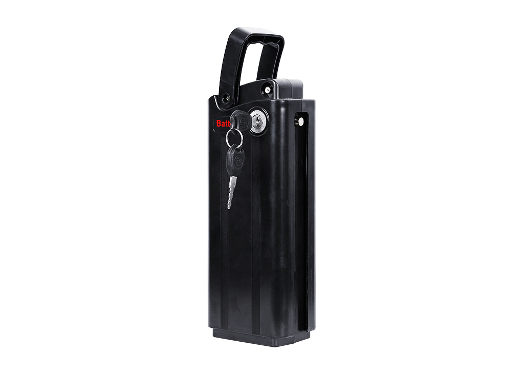 Block insert battery 4(48V10A/12*4.5*3.3inch)