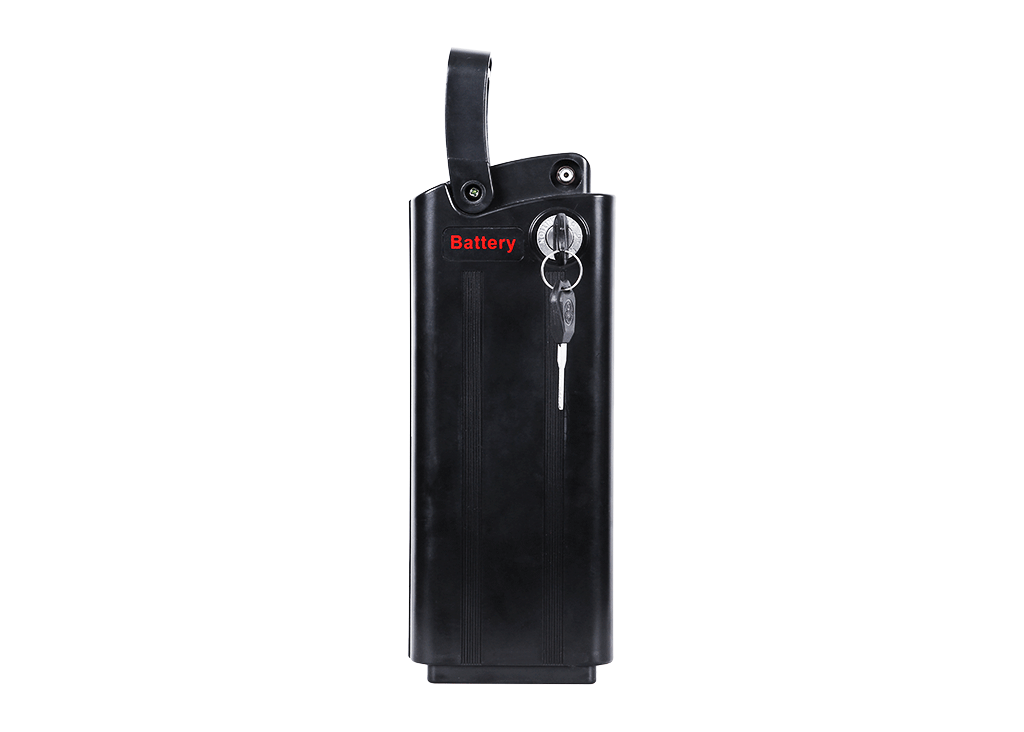 Block insert battery 4(48V10A/12*4.5*3.3inch)