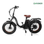 GNpower Foldable Electric Mountain Bike for Adult 20", 750W Motor,Fat Tire,48V 15AH,UL2849,Black