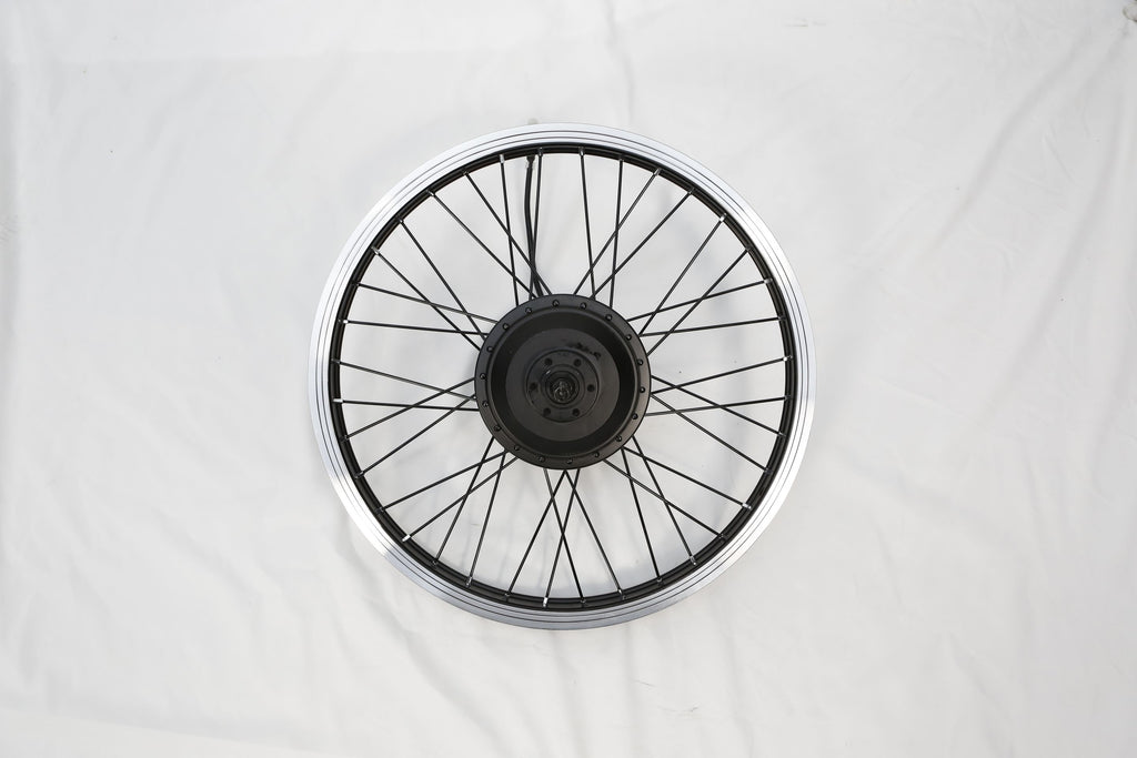 20‘’Rear Wheel with 36V250W Motor/Disc Brake (Pony)