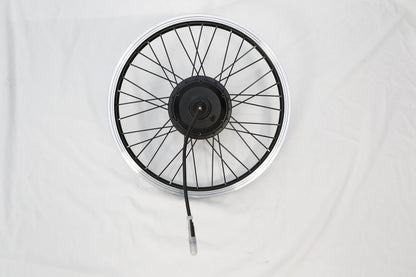 20‘’Rear Wheel with 36V250W Motor/Disc Brake (Pony)